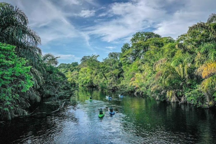 Explore 3 Days, 2 Nights in Tortuguero with Lodge Accommodations – All Amenities Included